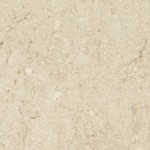 Taj Royale quartz countertop