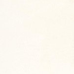 1111 Vivid White