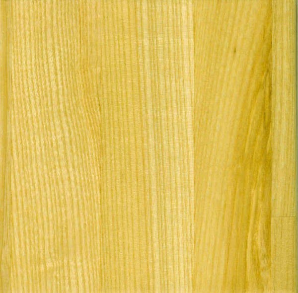 Butcher Block Countertops in Vancouver, Victoria, Kelowna, Nanaimo