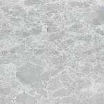 MW6000-EV-White Coralino Marble